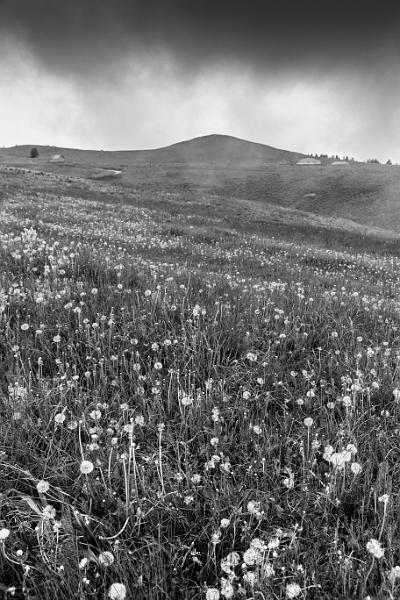 2018_06_06_Haute Savoie  (0049_bnw).jpg - depuis le Semnoz (Juin 2018)